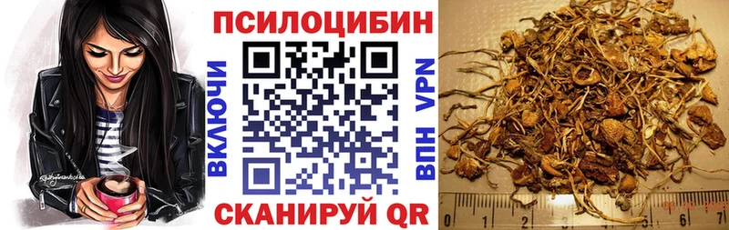 даркнет сайт  Нолинск  Псилоцибиновые грибы Cubensis 